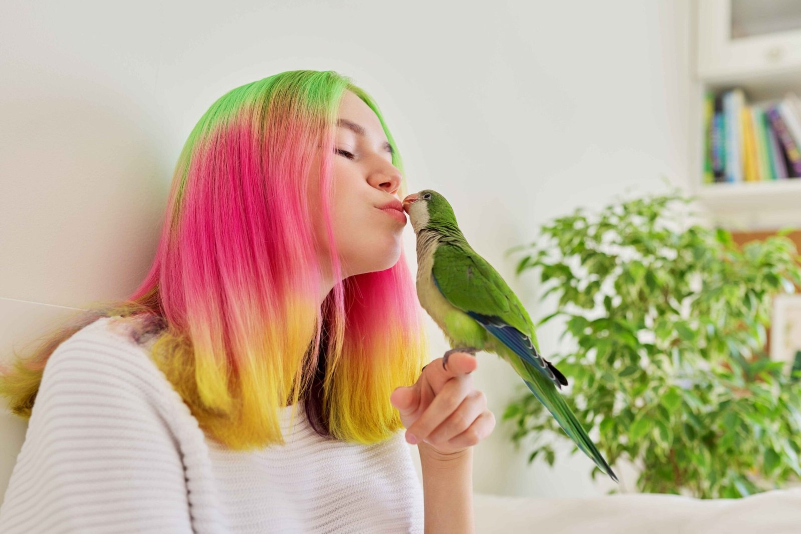 How to know if your bird loves you?13 signs of unconditional love